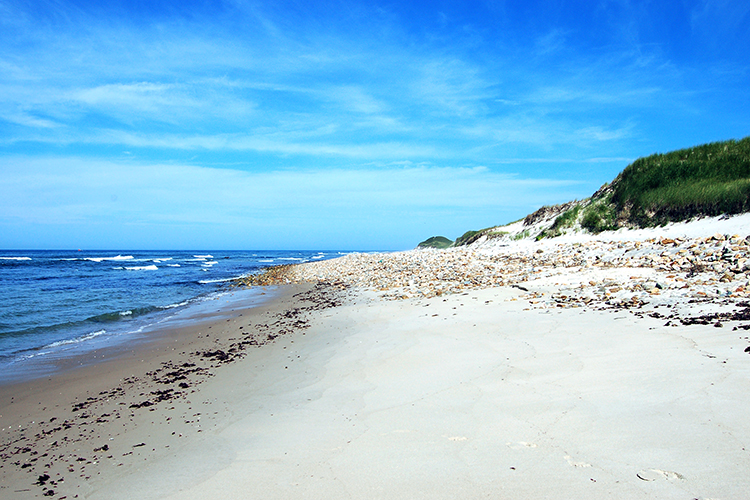 Squibnocket Beach - Wingate Roost